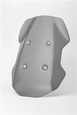 Produktfoto: Erhöhtes Windschild